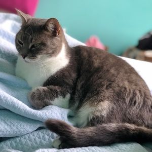 Meet your Posher, Natalie